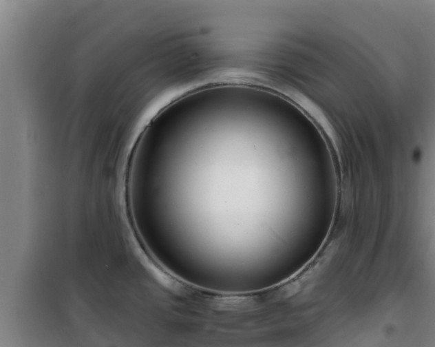 X0000101101437200807031740