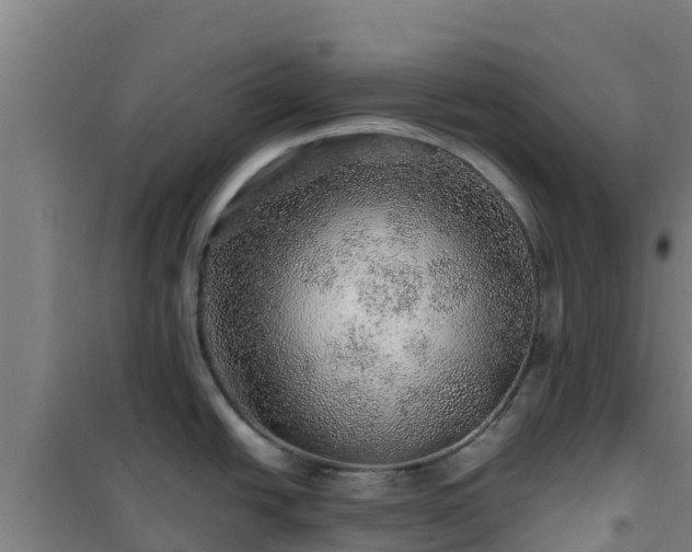 X0000101101438200807031740