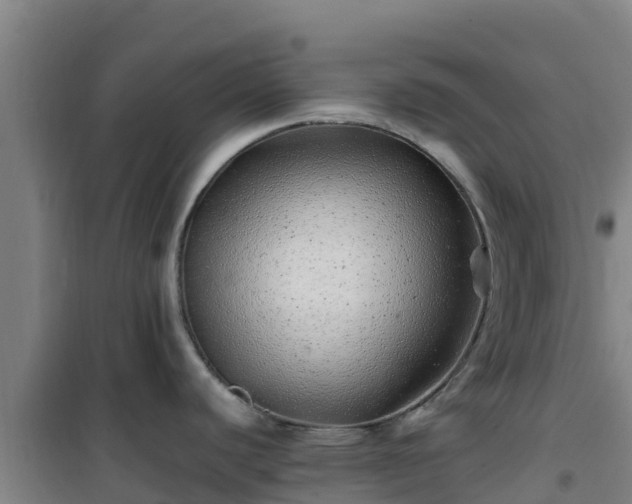 X0000101101440200807031740