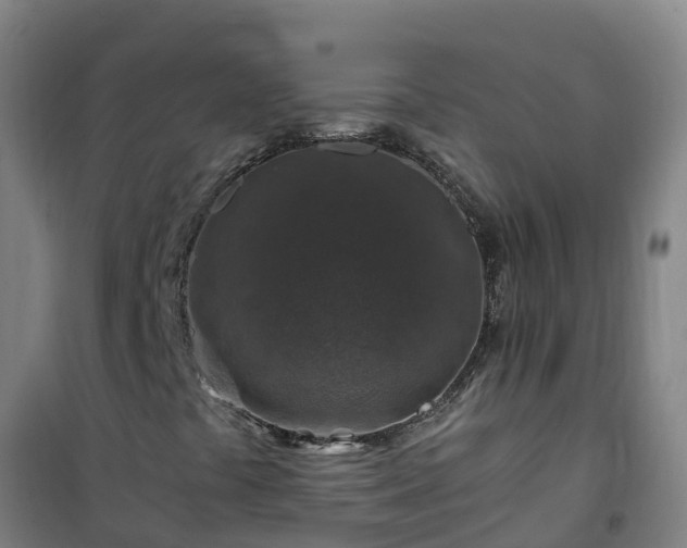 X0000101101441200807031739