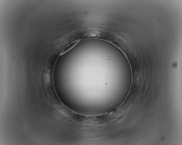 X0000101101442200807031739