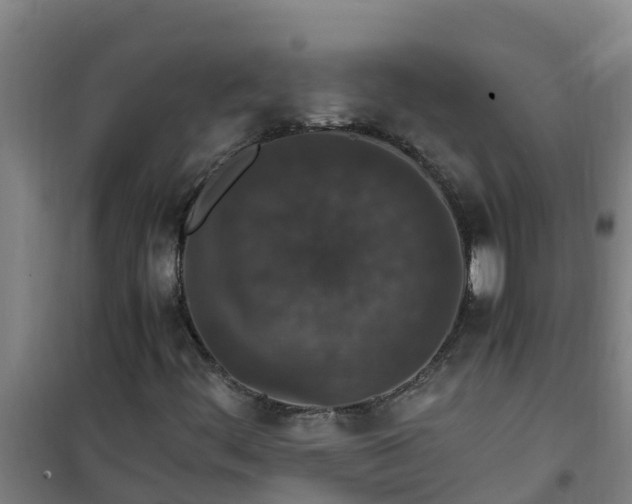 X0000101101444200807031739