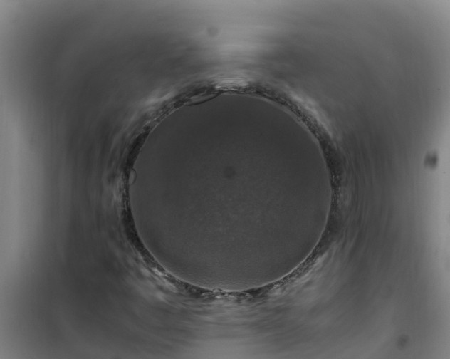 X0000101101445200807031739