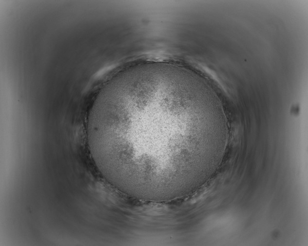 X0000101101446200807031739