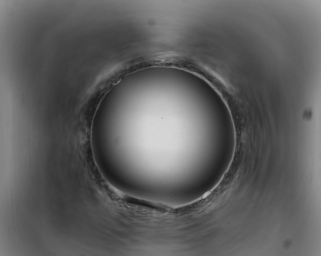X0000101101447200807031739