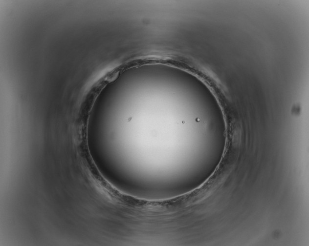X0000101101448200807031739