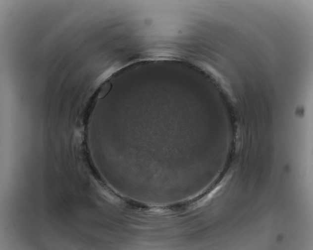 X0000101101449200807031739