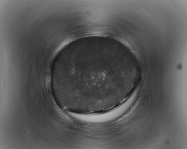 X0000101101450200807031739