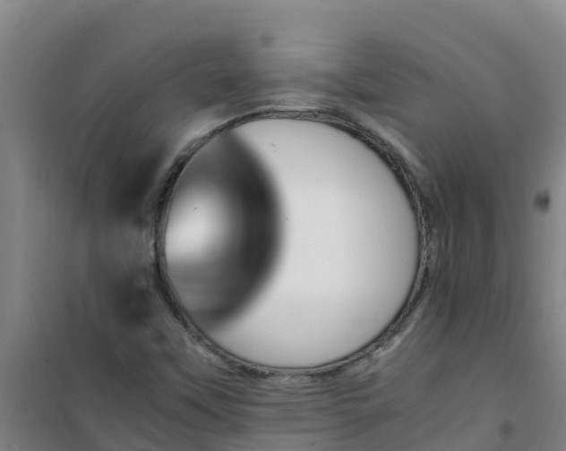 X0000101101451200807031739