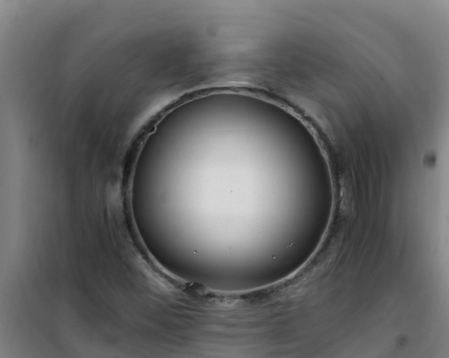 X0000101101452200807031739