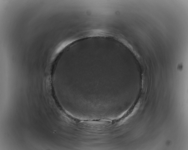 X0000101101453200807031739