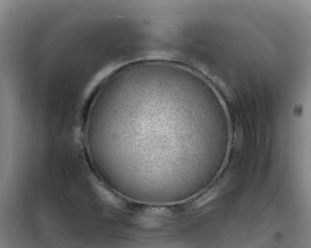 X0000101101454200807031739