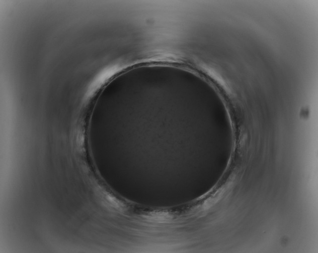 X0000101101455200807031739