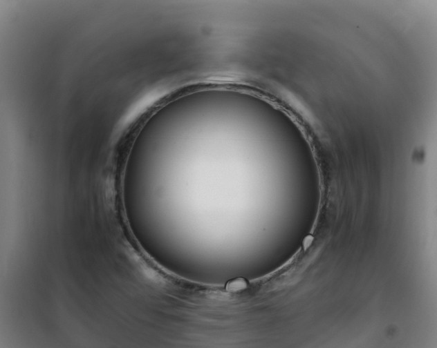X0000101101456200807031738