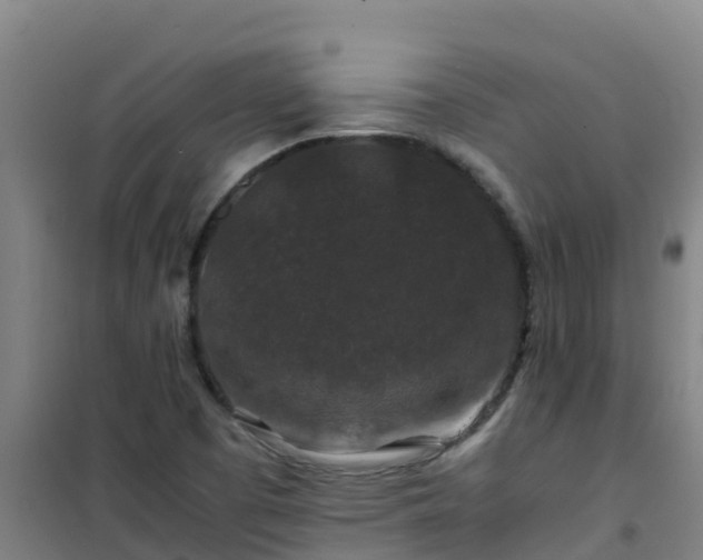 X0000101101457200807031738