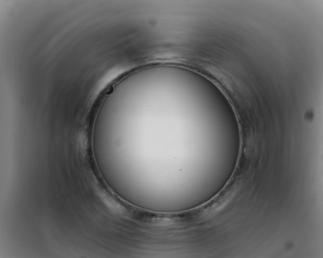 X0000101101458200807031738