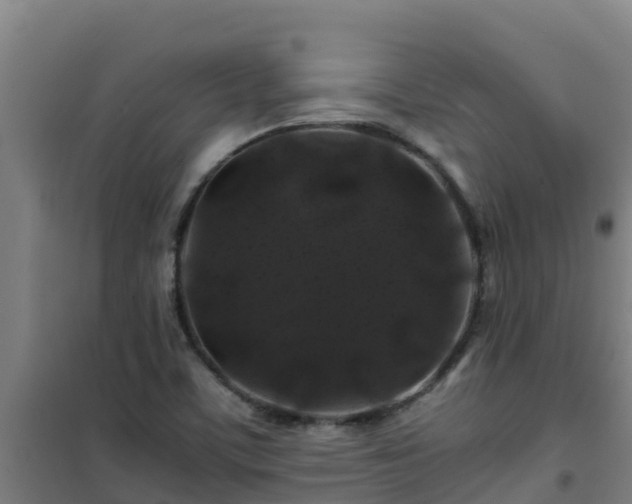 X0000101101459200807031738