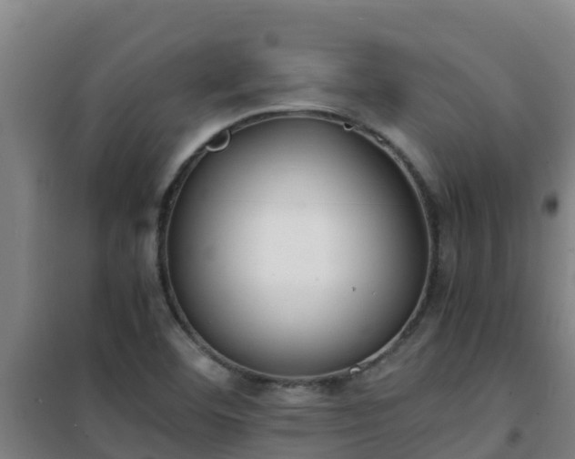 X0000101101460200807031738