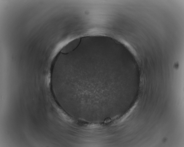X0000101101461200807031738