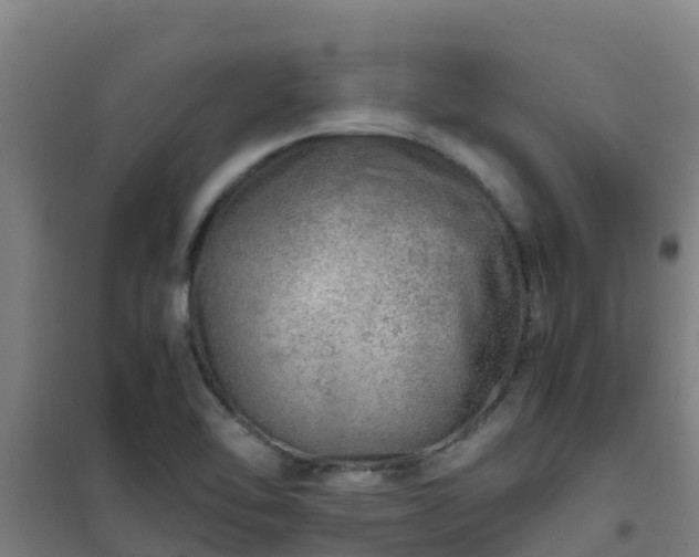 X0000101101462200807031738