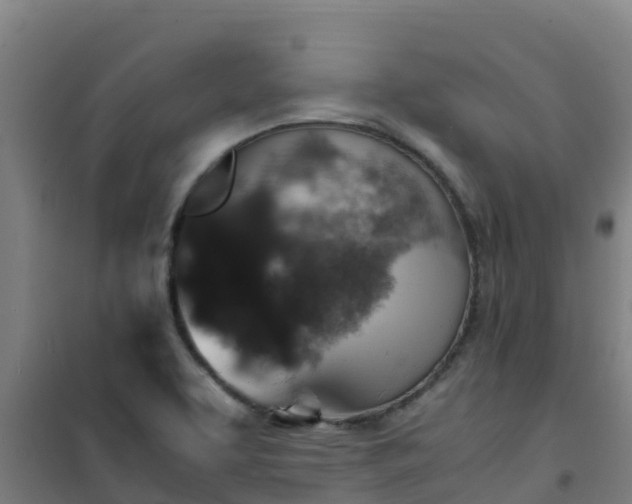 X0000101101463200807031738