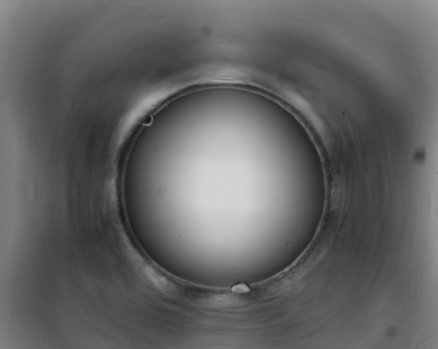 X0000101101464200807031738