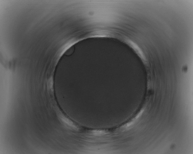 X0000101101465200807031738