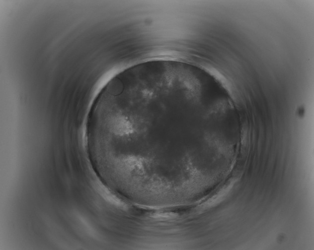 X0000101101466200807031738