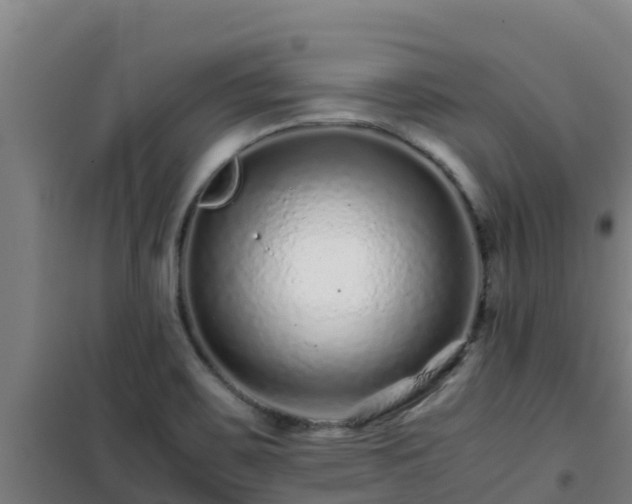 X0000101101467200807031738