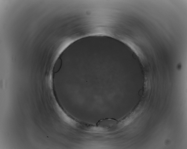 X0000101101468200807031738