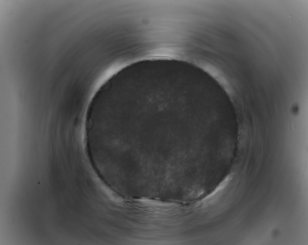 X0000101101469200807031738