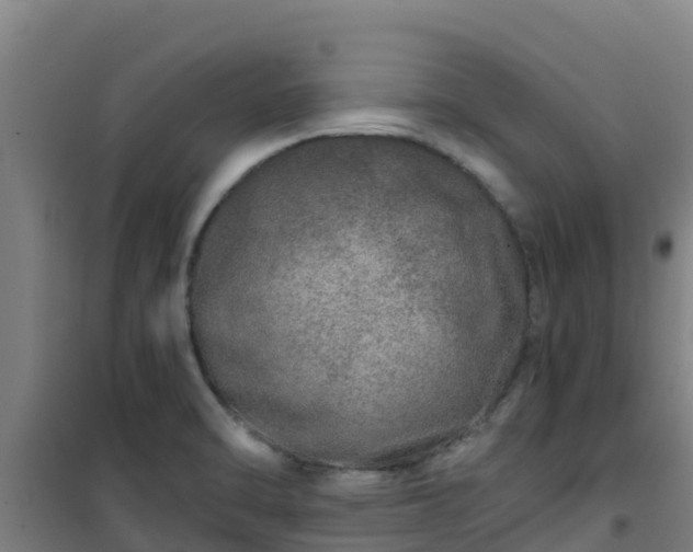 X0000101101470200807031738