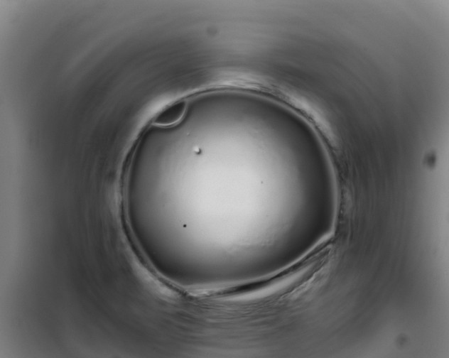 X0000101101471200807031738