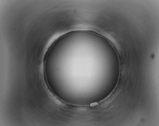 X0000101101472200807031738