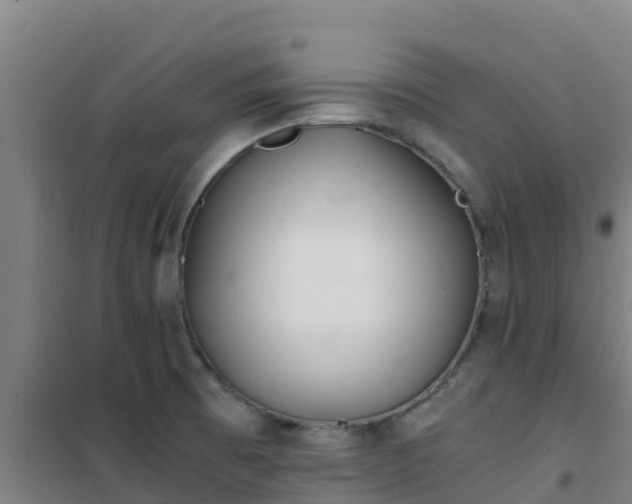 X0000101101473200807031738