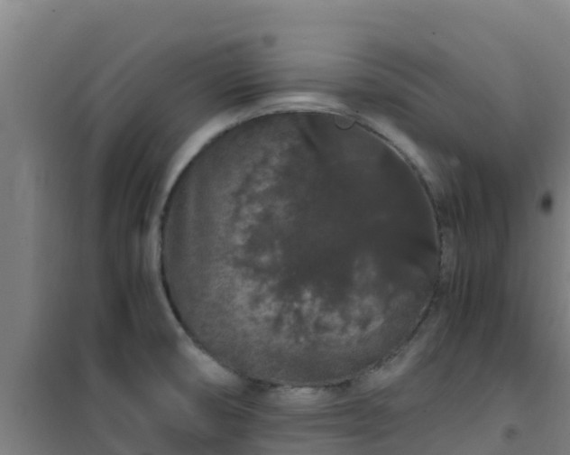 X0000101101474200807031738