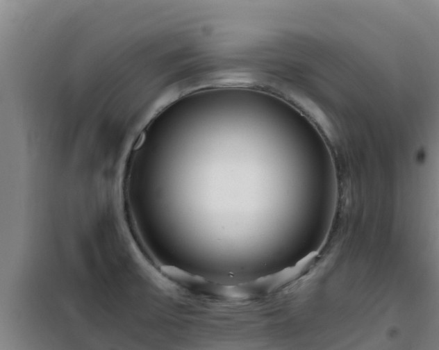 X0000101101475200807031738