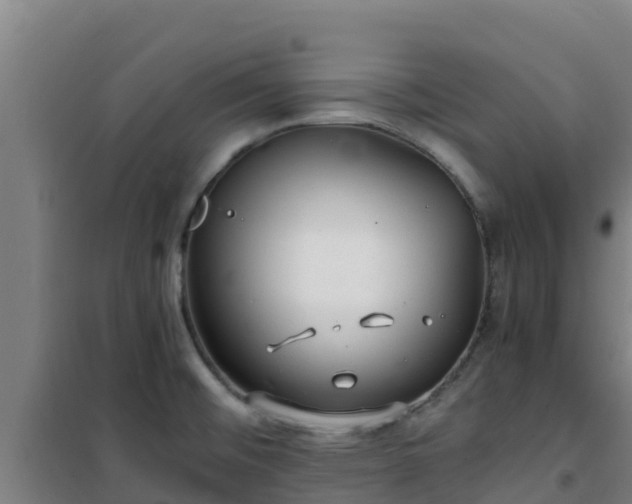 X0000101101476200807031738