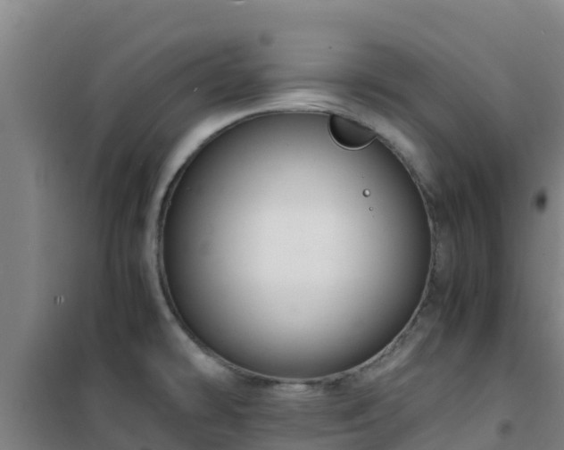 X0000101101478200807031738