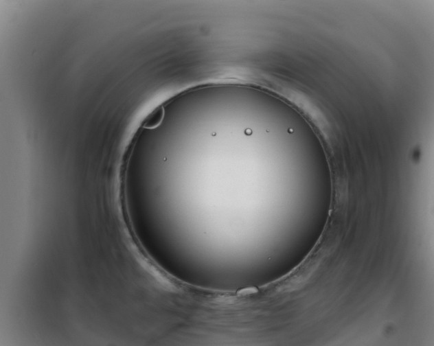 X0000101101480200807031738