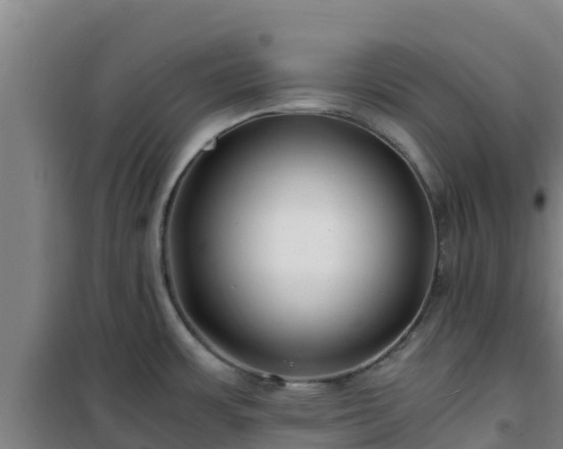X0000101101483200807031738