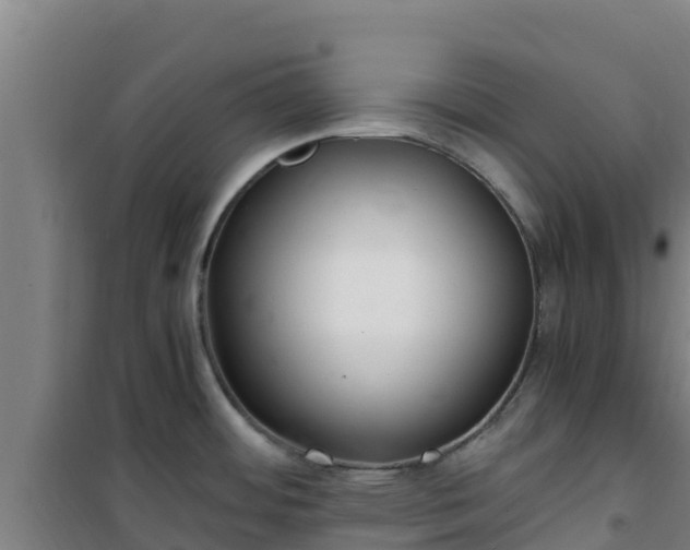 X0000101101484200807031738