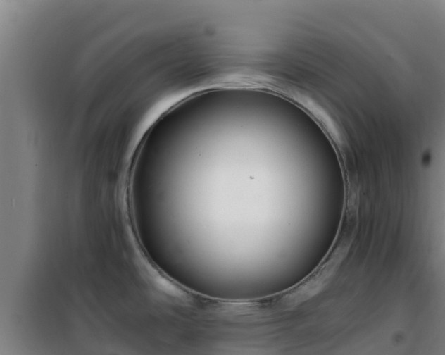 X0000101101486200807031738