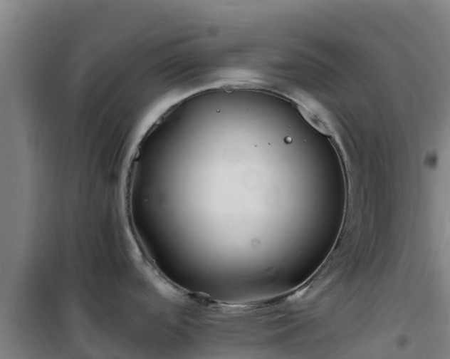 X0000101101488200807031738