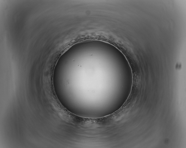 X0000101101489200807031737