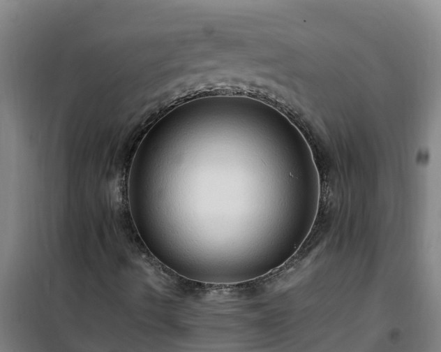 X0000101101490200807031737