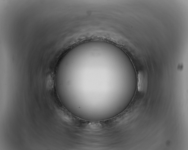 X0000101101491200807031737