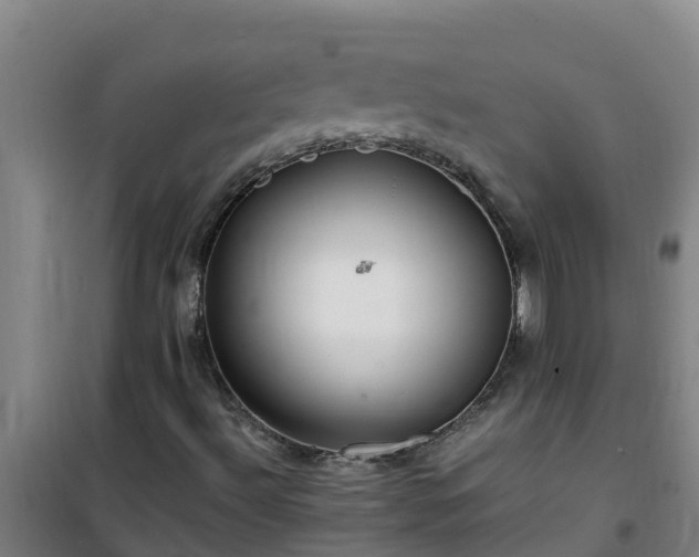 X0000101101492200807031737