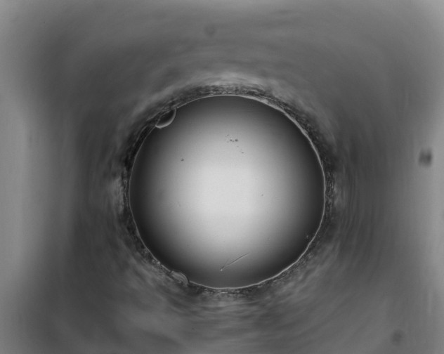 X0000101101493200807031737
