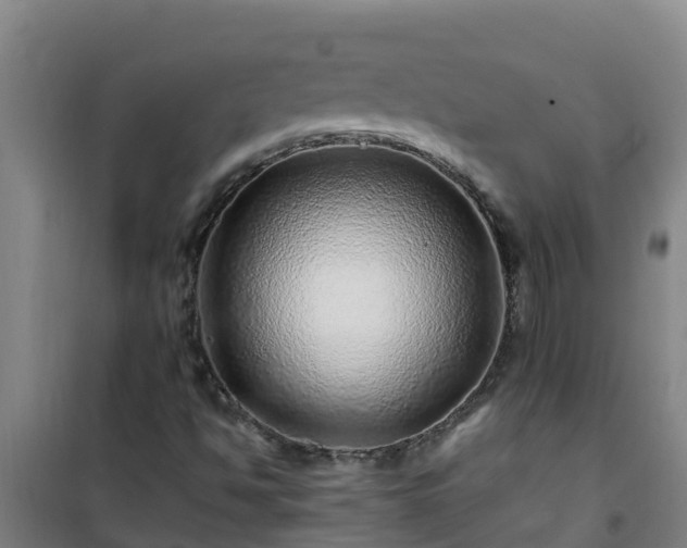X0000101101494200807031737